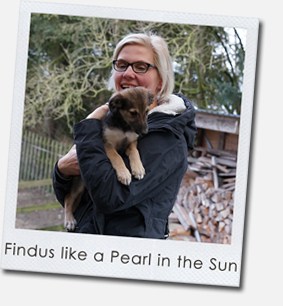 Findus like a Pearl in the Sun