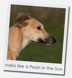 India like a Pearl in the Sun